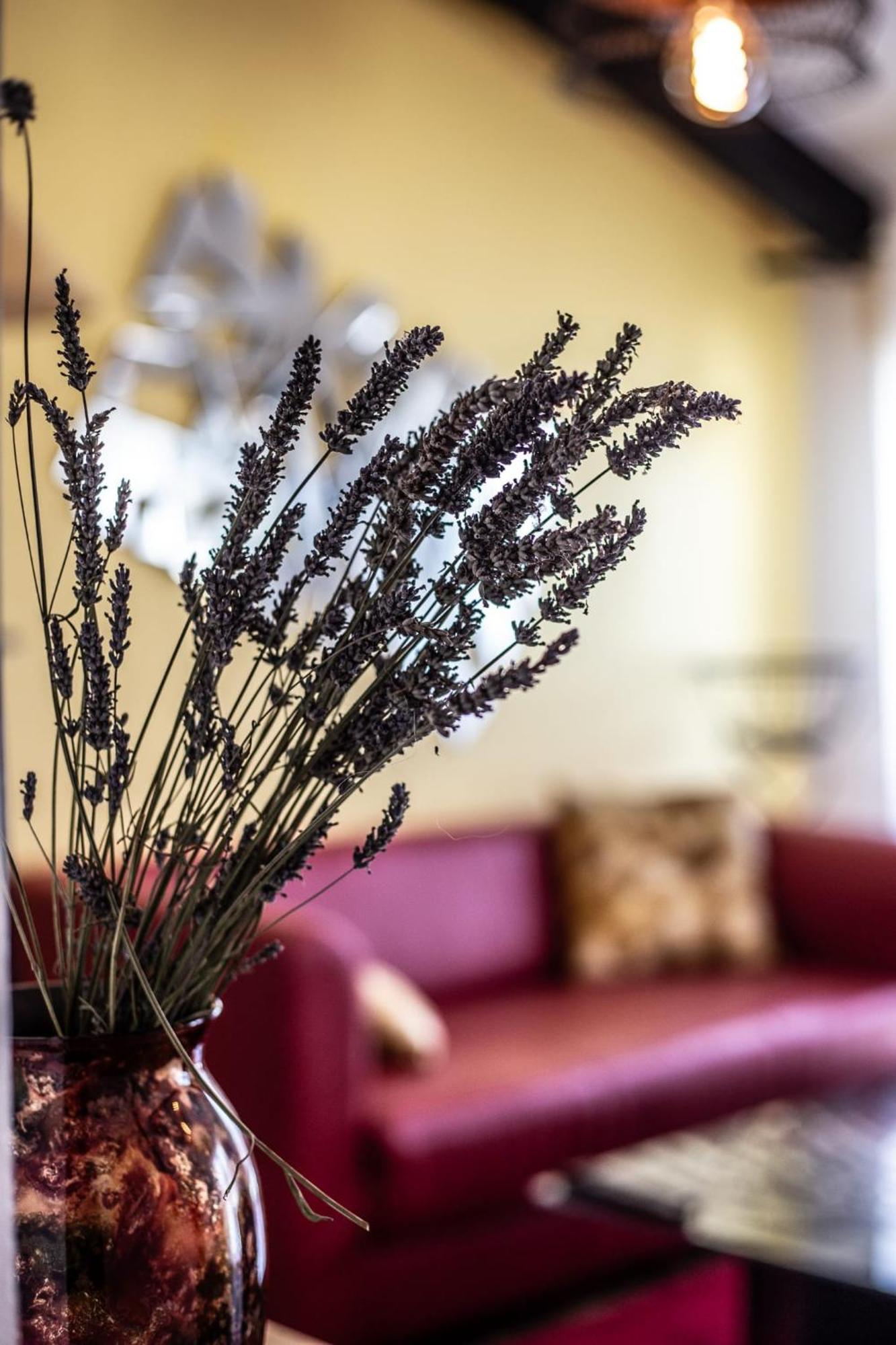 Le Dupe Apart otel Brissac-Quince Dış mekan fotoğraf